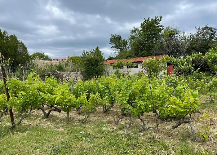 A Charming And Peaceful Summer 400m From The Sea *