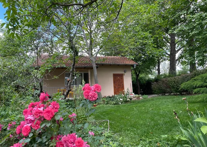 בית נופש A Charming And Peaceful Summer 400m From The Sea