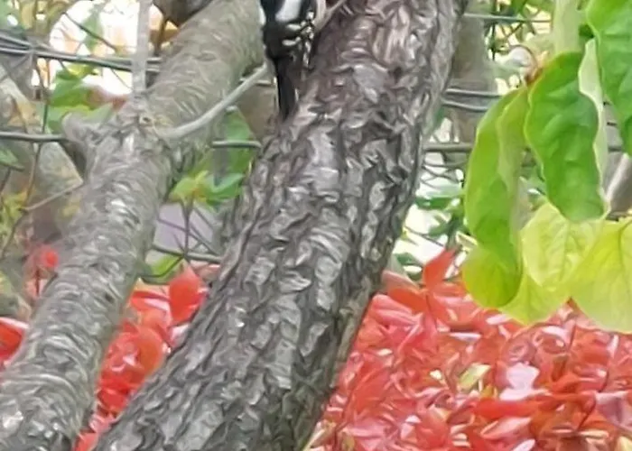 A Charming And Peaceful Summer 400m From The Sea