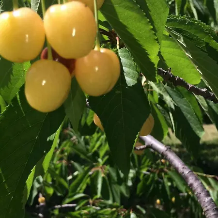 Сasa de vacaciones A Charming And Peaceful Summer 400m From The Sea *