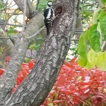 A Charming And Peaceful Summer 400m From The Sea