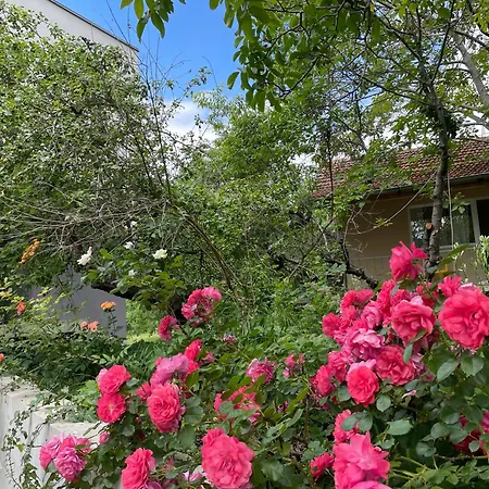 Будинок відпочинку Peaceful Summer House With Garden Near The Kabakum ,