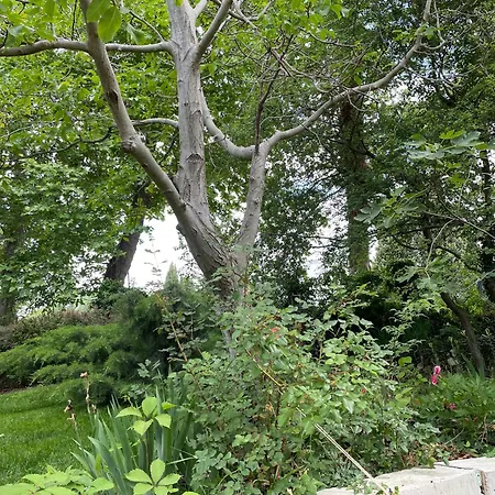 Peaceful Summer House With Garden Near The Kabakum , Будинок відпочинку *